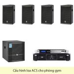 Cấu Hình Loa ACS Phòng Gym