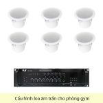Cấu Hình Loa Âm Trần Cho Phòng Gym